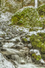 Starvation Creek near Sandy, Columbia Gorge National scenic Area, Oregon, USA Poster Print by Stuart Westmorland - Item # VARPDDUS38SWR0176