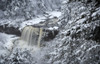 USA, West Virginia, Blackwater Falls State Park. Forest and waterfall in winter.  Poster Print by Jaynes Gallery - Item # VARPDDUS49BJY0066