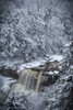 USA, West Virginia, Blackwater Falls State Park. Forest and waterfall in winter.  Poster Print by Jaynes Gallery - Item # VARPDDUS49BJY0067