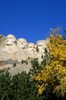 Fall color under Mount Rushmore, Mount Rushmore National Memorial, South Dakota, USA. Poster Print by Russ Bishop - Item # VARPDDUS42RBS0010