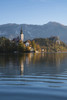 Slovenia, Bled. The Church of the Assumption of Maria is reflected in the calm waters Poster Print by Brenda Tharp - Item # VARPDDEU38BTH0030
