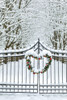 Fence line and fresh snow with trees line lane and metal gate with Christmas wreath. Poster Print by Darrell Gulin - Item # VARPDDUS48DGU1569