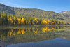 Autumn reflections, Lake Wenatchee, Wenatchee National Forest, Washington State, USA Poster Print by Michel Hersen - Item # VARPDDUS48MHE0379