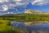 Sofa Mountain reflects into beaver pond in Waterton Lakes National Park, Alberta, Canada Poster Print by Chuck Haney - Item # VARPDDCN01CHA0181