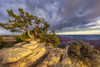 View from Bright Angel Point on the North Rim of Grand Canyon National Park, Arizona, USA Poster Print by Chuck Haney - Item # VARPDDUS03CHA0234