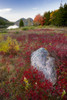 USA, Maine. The Bubbles and Jordan Pond in full autumn colors, Acadia National Park. Poster Print by Judith Zimmerman - Item # VARPDDUS20JZI0093