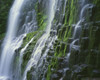 OR, Willamette NF. Three Sisters Wilderness, Lower Proxy Falls displays multiple cascades Poster Print by John Barger - Item # VARPDDUS38JBA0221