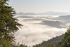Tennessee, Great Smoky Mountains NP. Dense clouds in valleys seen from Foothills Parkway. Poster Print by Trish Drury - Item # VARPDDUS43TDR0159