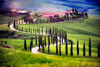 Italy, Tuscany, Val d'Orcia Farm landscape Credit as: Jim Nilsen / Jaynes Gallery Poster Print by Jaynes Gallery (24 x 18) # EU16BJY0465