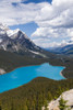 Banff National Park, Alberta, Canada Peyto Lake along the Icefields Parkway scenic drive Poster Print by Janet Horton (18 x 24) # CN01JHO0018