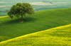Europe, Italy, Tuscany Hilly landscape Credit as: Dennis Flaherty / Jaynes Gallery Poster Print by Jaynes Gallery (24 x 18) # EU16BJY0520