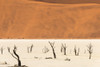 Dead acacia trees in Deadvlei, Sossusvlei, Namib-Naukluft National Park, southern Narim Desert Poster Print by Keren Su - Item # VARPDDAF31KSU0031