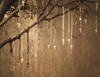 USA, New Mexico. Rosaries hang from a tree outside of the Loretto Chapel in Santa Fe. Poster Print by Deborah Winchester - Item # VARPDDUS32DWI0008