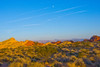 USA, Nevada. Overton, Valley of Fire State Park, First Nevada Park, Fire Canyon Silica Dome Poster Print by Bernard Friel - Item # VARPDDUS29BFR0266