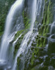 Oregon. Willamette NF, Three Sisters Wilderness, Lower Proxy Falls displays multiple cascades Poster Print by John Barger - Item # VARPDDUS38JBA0431