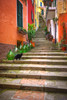 Europe, Italy, Monterosso Cat on long stairway Credit as: Jim Nilsen / Jaynes Gallery Poster Print by Jaynes Gallery (18 x 24) # EU16BJY0500