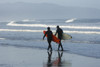 Surfers at Cape Kiwanda Beach, Cape Kiwanda State Park, Oregon Coast, USA, Late Spring  Poster Print by Stuart Westmorland - Item # VARPDDUS38SWR0074