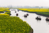 Rowing boat on river through Thousand-Islet canola flower fields, Xinghua, Jiangsu Province, China Poster Print by Keren Su - Item # VARPDDAS07KSU2082