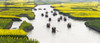 Rowing boat on river through Thousand-Islet canola flower fields, Xinghua, Jiangsu Province, China Poster Print by Keren Su - Item # VARPDDAS07KSU2331