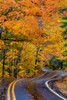 Highway 41 covered roadway in autumn near Copper Harbor in the Upper Peninsula of Michigan, USA Poster Print by Chuck Haney (18 x 24) # US23CHA0340