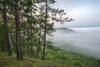 USA, New York State. Mountains enshrouded in morning fog, Kipp Mountain, Adirondack Mountains. Poster Print by Chris Murray - Item # VARPDDUS33CMU0080