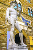 Michelangelo's David replica statue, Piazza della Signoria, Palazzo Vecchio, Florence, Tuscany Poster Print by William Perry - Item # VARPDDEU16WPE0501