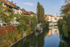 Slovenia, Ljubljana. Vines and trees provide a lush urban corridor along the Ljubljanica River. Poster Print by Brenda Tharp - Item # VARPDDEU38BTH0005