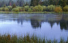 Oregon, Deschutes National Forest. Early autumn along the upper sections of the Deschutes River. Poster Print by John Barger - Item # VARPDDUS38JBA0204