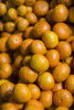 Portugal, Azores, Sao Miguel Island, Ponta Delgada. Mercado da Graca market, native tangerines Poster Print by Walter Bibikow - Item # VARPDDEU23WBI1146