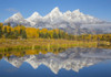 Wyoming, Grand Teton NP. Fresh snowfall covers the Grand Teton Mountains on an autumn morning Poster Print by Elizabeth Boehm - Item # VARPDDUS51EBO0716