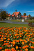 Flower beds and Bath House (Rotorua Museum), Government Gardens, Rotorua, North Island, New Zealand Poster Print by David Wall (18 x 24) # AU03DWA0633