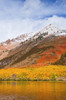 Fall color and early snow at North Lake, Inyo National Forest, Sierra Nevada Mountains, California Poster Print by Russ Bishop - Item # VARPDDUS05RBS1225
