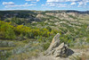 USA, North Dakota, Medora. Theodore Roosevelt National Park, South Unit, Painted Canyon Overlook Poster Print by Bernard Friel - Item # VARPDDUS35BFR0009