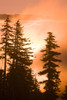 Sunrise scenic views near Timberline Lodge, Lolo Pass, Mt. Hood Wilderness Area, Oregon, USA Poster Print by Stuart Westmorland - Item # VARPDDUS38SWR0306
