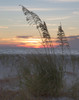 USA, Fort De Soto Park, Pinellas County, St. Petersburg, Florida. Seacoast against the sunset Poster Print by Deborah Winchester - Item # VARPDDUS10DWI0003