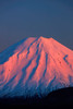 Alpenglow on Mt Ngauruhoe at dawn, Tongariro National Park, Central Plateau, North Island, New Zealand Poster Print by David Wall (18 x 24) # AU03DWA0727
