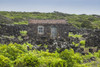 Portugal, Azores, Pico Island, Porto Cachorro. Old fishing community set in volcanic rock buildings Poster Print by Walter Bibikow - Item # VARPDDEU23WBI0930