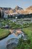 Mountains reflected in creek, subalpine meadows of Marriott Basin, Coast Mountains, British Columbia Poster Print by Alan Majchrowicz (18 x 24) # CN02AMA0001