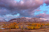 Morning light on autumn aspen groves along Maskinonge Lake in Waterton Lakes National Park, Alberta, Canada Poster Print by Chuck Haney (24 x 18) # CN01CHA0188