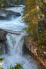 Jasper National Park, Alberta, Canada Hike along Johnston Canyon River on the Lower and Upper Falls trail Poster Print by Janet Horton (18 x 24) # CN01JHO0036