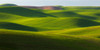 USA, Washington State, Palouse Rolling hills of wheat fields Credit as: Jim Nilsen / Jaynes Gallery Poster Print by Jaynes Gallery (24 x 18) # US48BJY1128