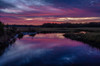 USA, New Jersey, Cape May National Seashore Sunrise on creek Credit as: Jay O'Brien / Jaynes Gallery Poster Print by Jaynes Gallery (24 x 18) # US31BJY0069