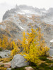 USA, Washington State Alpine Lakes Wilderness, Enchantment Lakes, Golden Larch trees and McClellan Peak Poster Print by Jamie & Judy Wild (18 x 24) # US48JWI5190