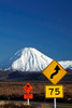 Road signs on Desert Road and Mt Ngauruhoe, Tongariro National Park, Central Plateau, North Island, New Zealand Poster Print by David Wall (18 x 24) # AU03DWA0740