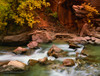 USA, Utah, Zion National Park Virgin River scenic in autumn Credit as: Dennis Flaherty / Jaynes Gallery Poster Print by Jaynes Gallery (24 x 18) # US45BJY0752