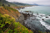 Driving on Route One along the Northern California coast Undulating coastline with craggy rock and foliage Poster Print by Mallorie Ostrowitz (24 x 18) # US05MOS0018