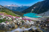 Canada, British Columbia, Joffre Lakes Provincial Park Meltwater stream flows past wildflowers into Upper Joffre Lake Poster Print by Yuri Choufour (24 x 18) # CN02YCH0005