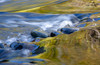 USA, Oregon Abstract of autumn colors reflected in Wilson River rapids Credit as: Wendy Kaveney / Jaynes Gallery Poster Print by Jaynes Gallery (24 x 18) # US38BJY1359