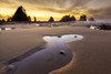 USA, Washington State, Olympic National Park Sunrise on coast beach and rocks Credit as: Jim Nilsen / Jaynes Gallery Poster Print by Jaynes Gallery (24 x 18) # US48BJY1143