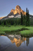 Liberty Bell Mountain reflected in still waters of State Creek, in meadows of Washington Pass North Cascades, Washington State Poster Print by Alan Majchrowicz (18 x 24) # US48AMA0131